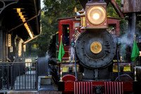 Walt Disney World Photo Gallery Disc